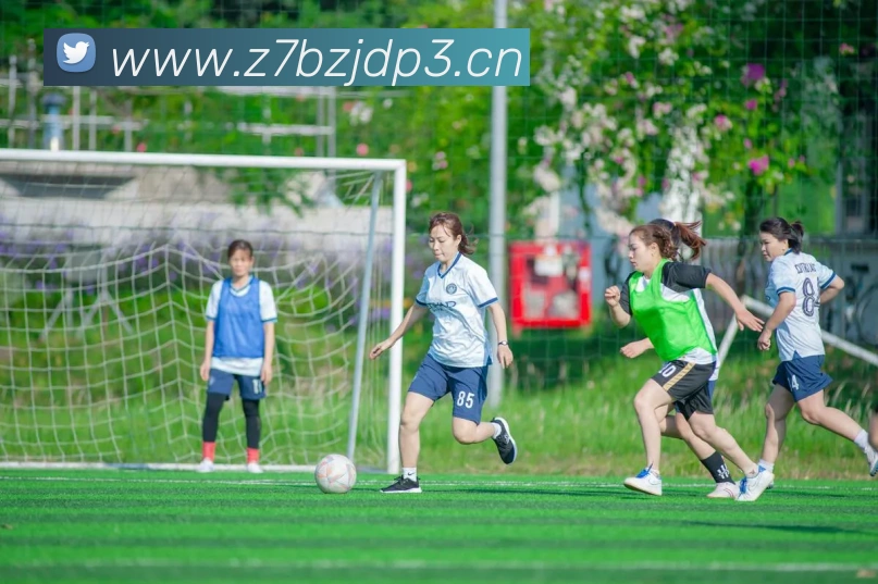 乐鱼综合体育官网APP 封面图